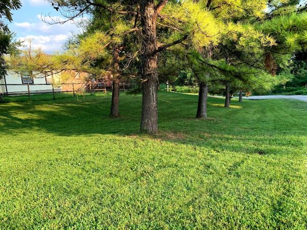 Tulsa Lawn Care Services and Maintenance LLC