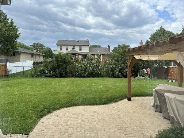 County Tree Service