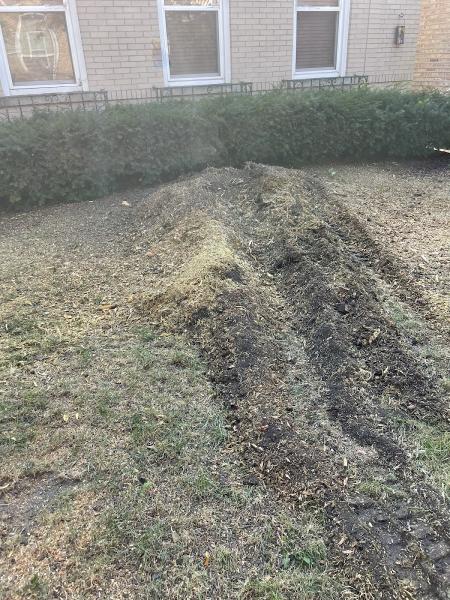 County Tree Service