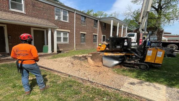 Supreme Tree Solutions LLC
