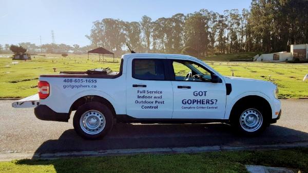 Got Gophers