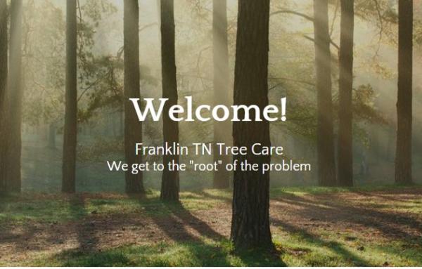 Franklin Tree Care