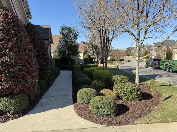 Apex Landscape LLC