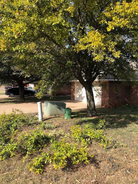 Ruiz Lawn Care Services