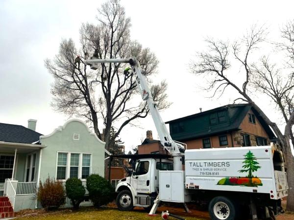 Tall Timbers Tree & Shrub Service