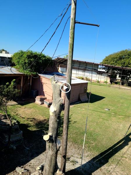 Flores Tree Service