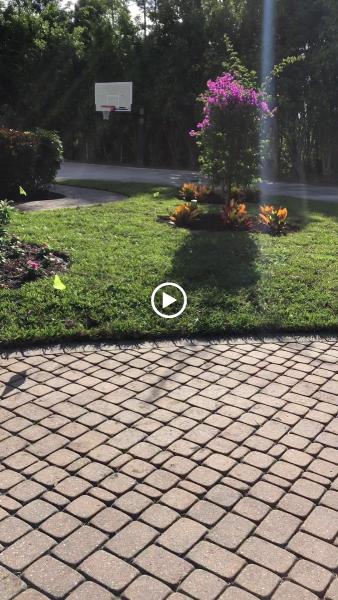 Leo Garden Care