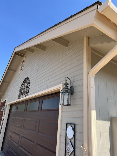 True Color Painting LLC