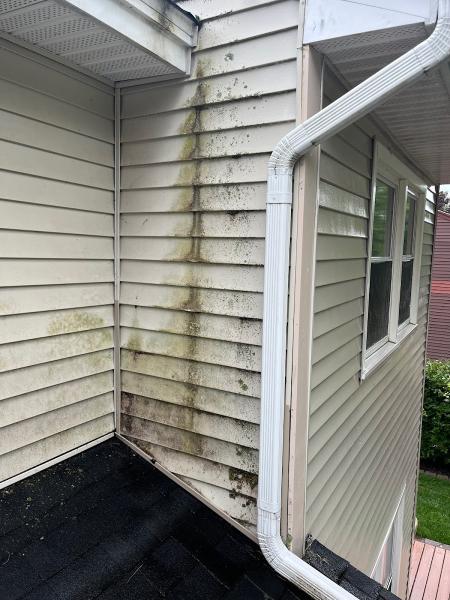 Perfection Power Washing