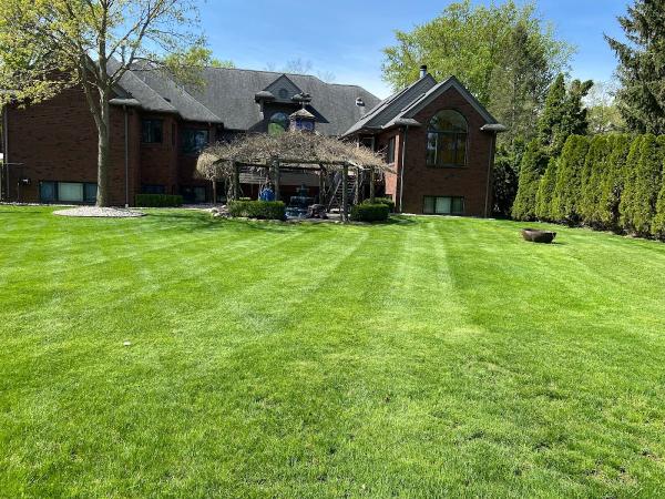 Cut King Lawn Care