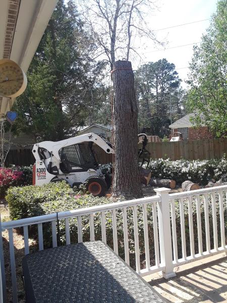 Paul Bunyan's Tree Service Inc