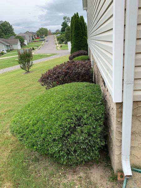 Do It All Landscaping LLC