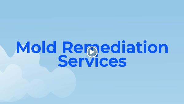 Freshco Cleaning & Restoration