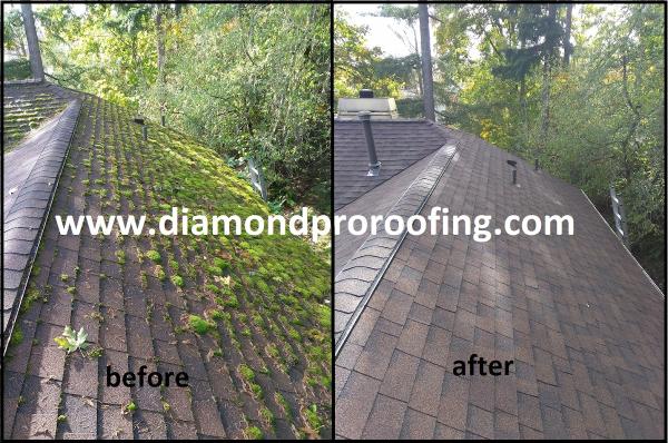 Diamond Pro Roofing LLC