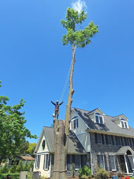 G&G Tree Service
