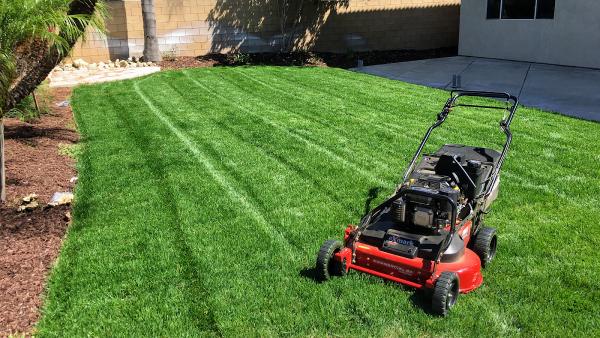 J-House Lawn Care and Landscaping
