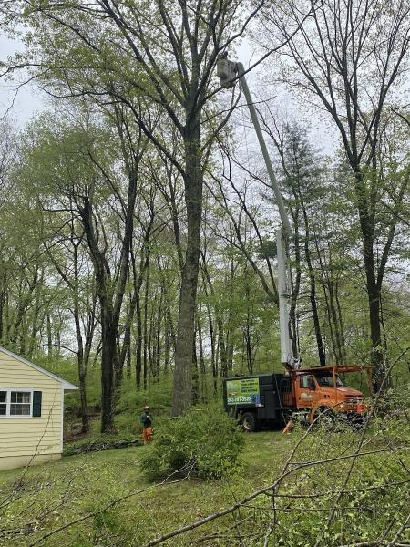 Claudio Tree Work and Landscaping LLC