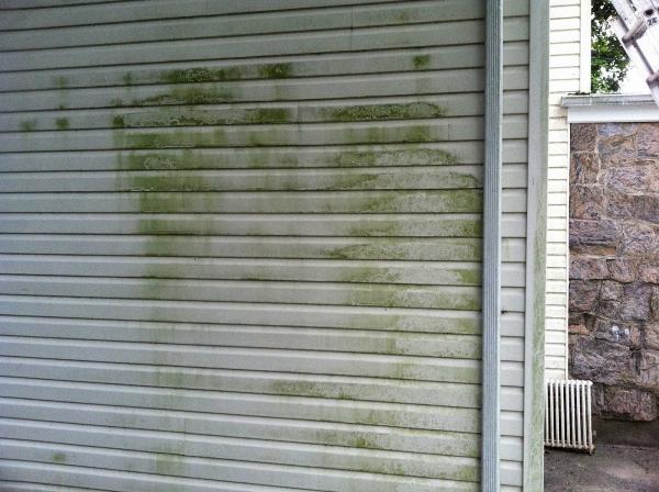 Rj's Gutter Cleaning