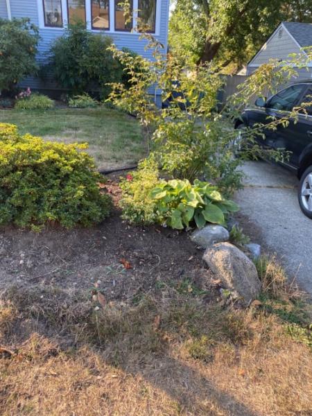 Wet Basement Services