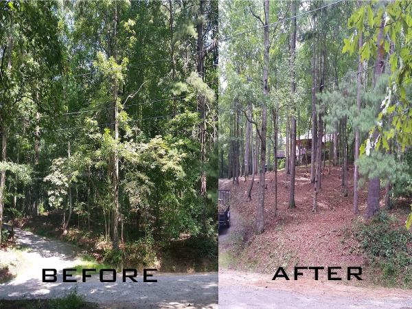 New Leaf Tree Service