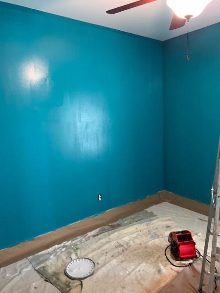 Absolute Painting & Drywall