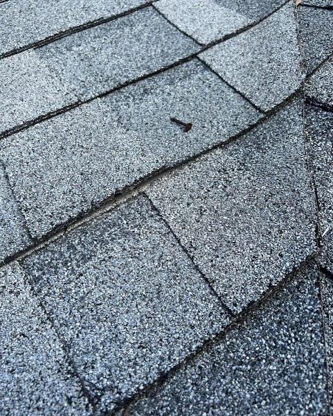 Pro Seal Roofing