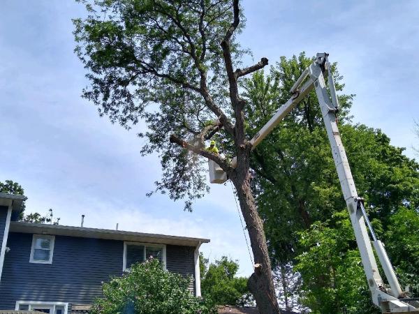 Ted Durdel Landscaping and Tree Service Inc