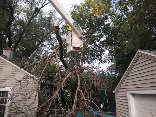 Ted Durdel Landscaping and Tree Service Inc
