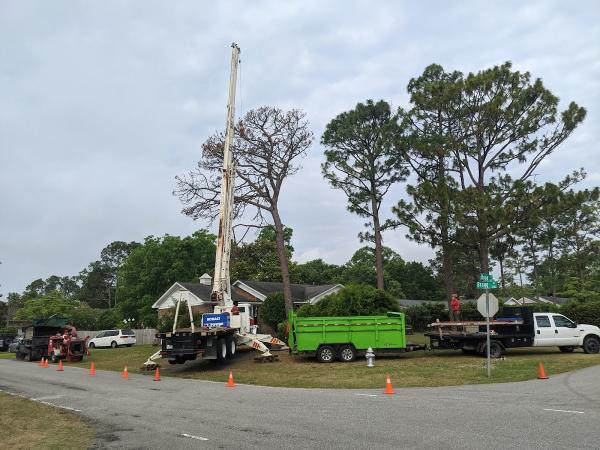 Solid Roots Tree Service LLC