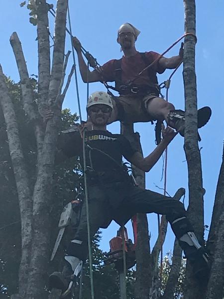 Rob the Climber