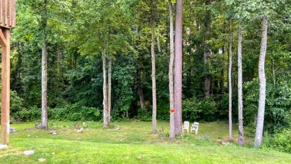 Atlanta Tree Service L.l.c