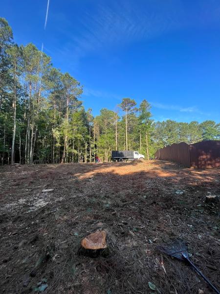 Atlanta Tree Service L.l.c