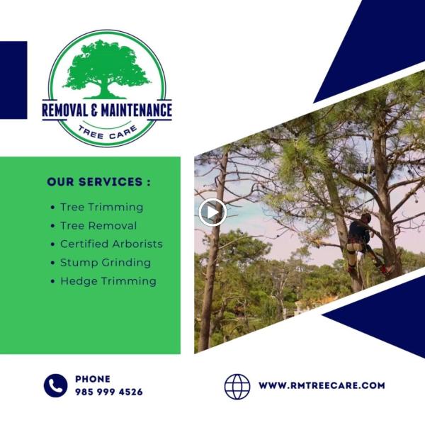 R M Tree Care