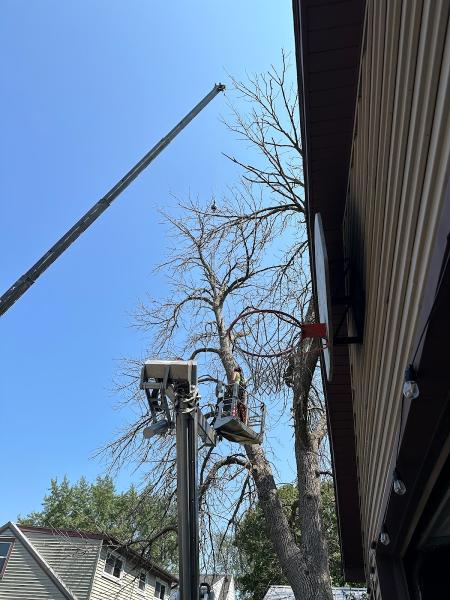 Jason's Tree Service