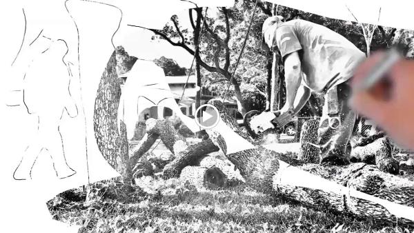 Expertise Tree Service