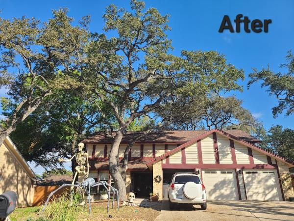 Expertise Tree Service