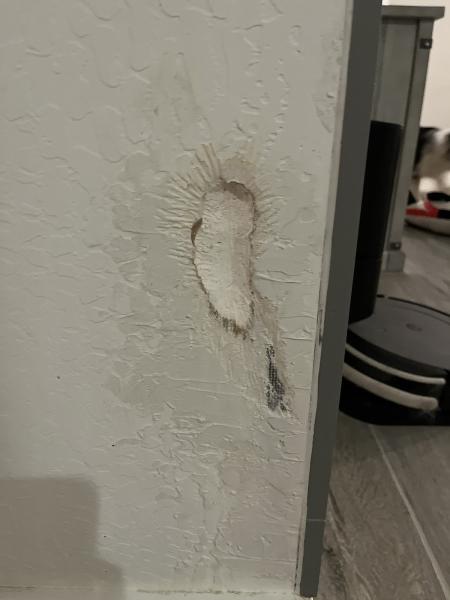 The Drywall Guy