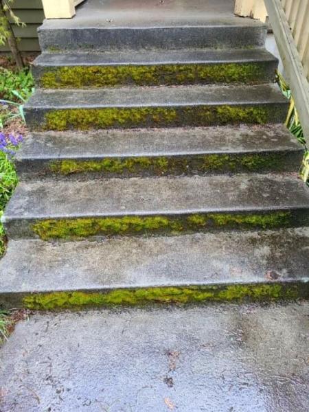 Morris Cleaning Services LLC