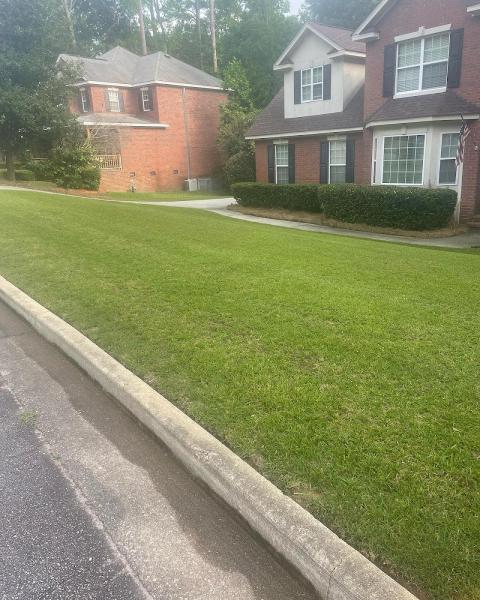 Scapegoat Landscaping LLC