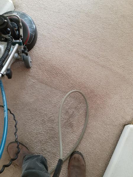 A Perfect Solution Carpet Cleaning