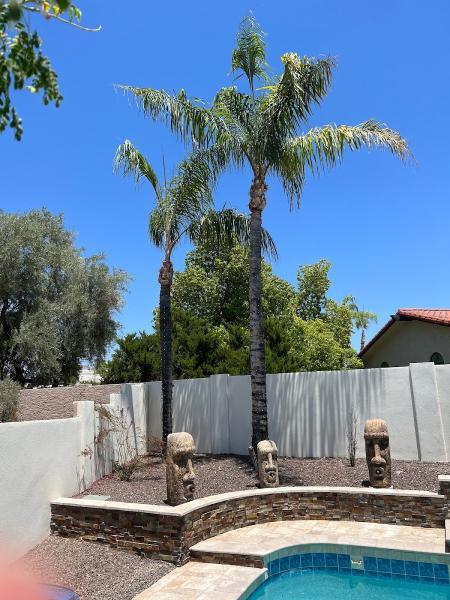Dakota Landscaping and Maintenance