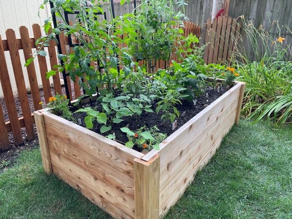 Culinary Gardens