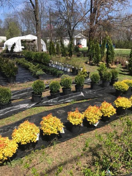 Jenkins Nursery & Landscaping