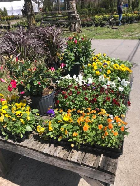 Jenkins Nursery & Landscaping