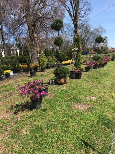 Jenkins Nursery & Landscaping