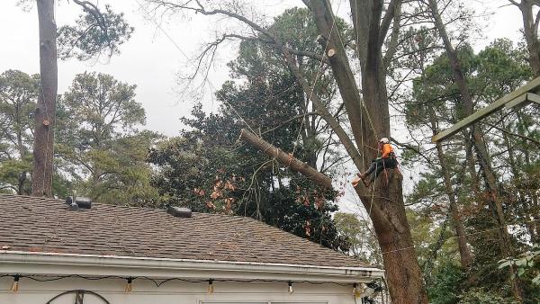 Grateful Tree Service