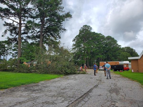 Grateful Tree Service