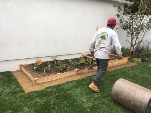Green Essence Tree and Landscape Inc.