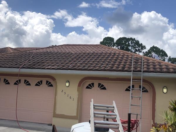 Mold Manglers No Pressure Roof