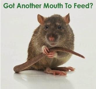 Raintree Pest Control